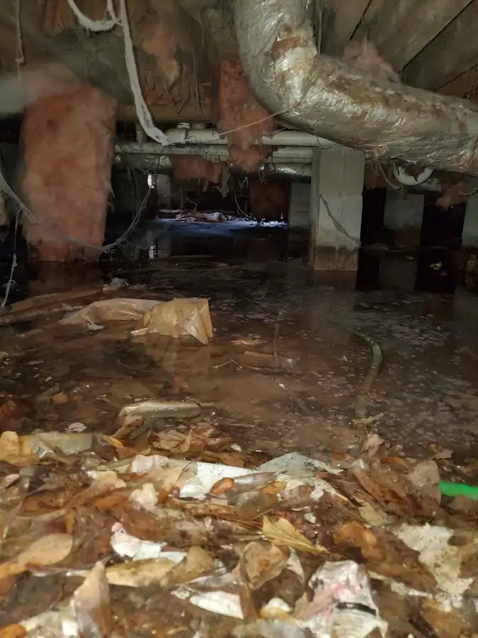 Crawl space flood assessment for Leak Detection & Repair in Pinson